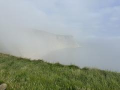 Looking up the coast in the mist